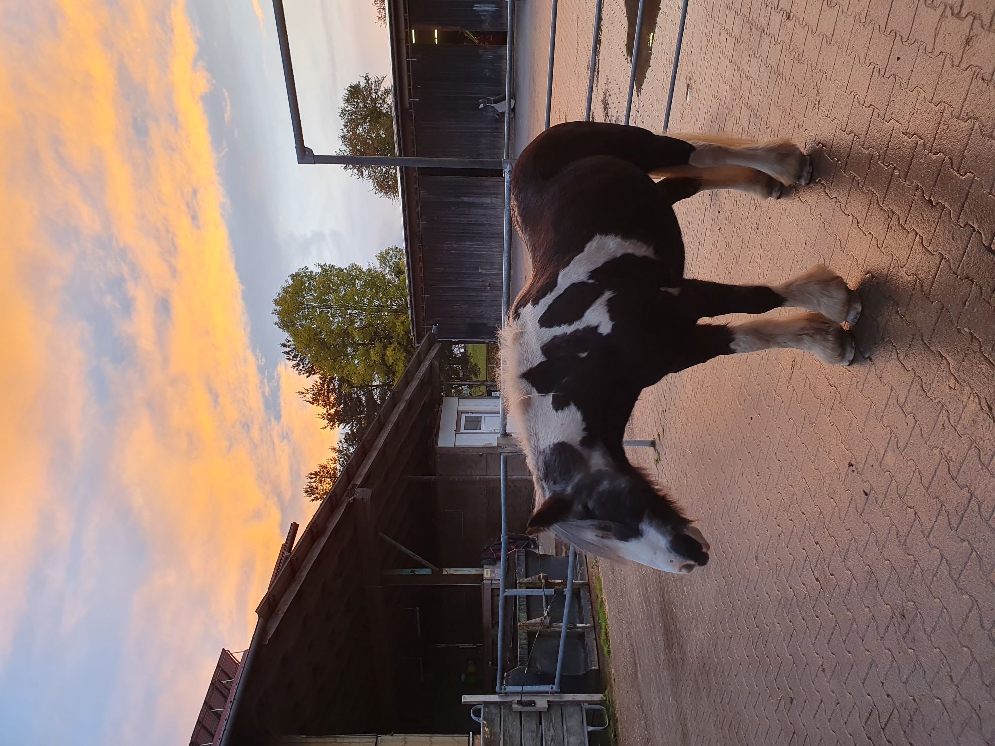 2023 11 November 575